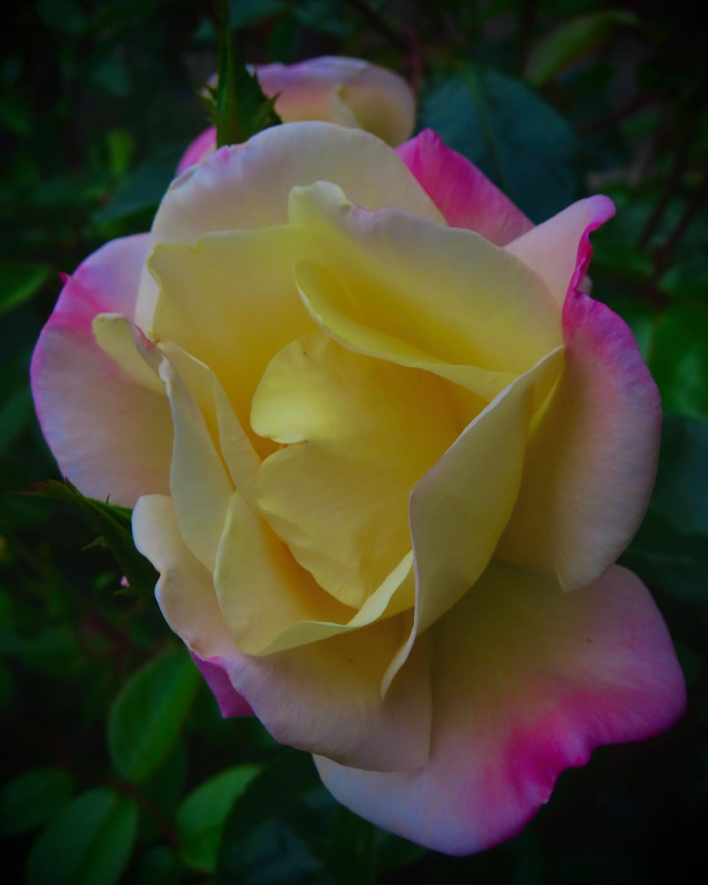 Gallery image 044
