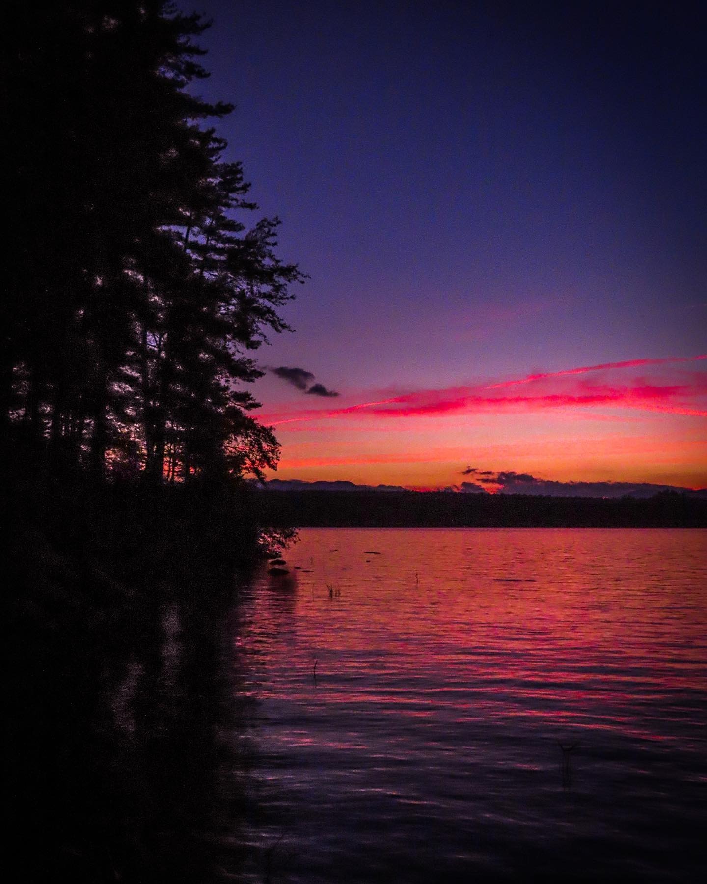 Gallery image 078